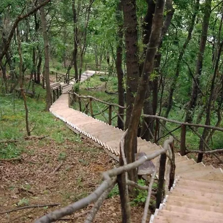 In The Cliff Bay 아파트