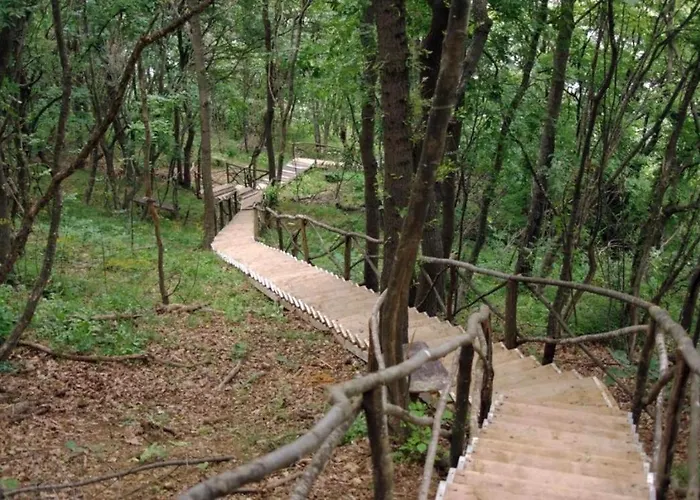 In The Cliff Bay 公寓